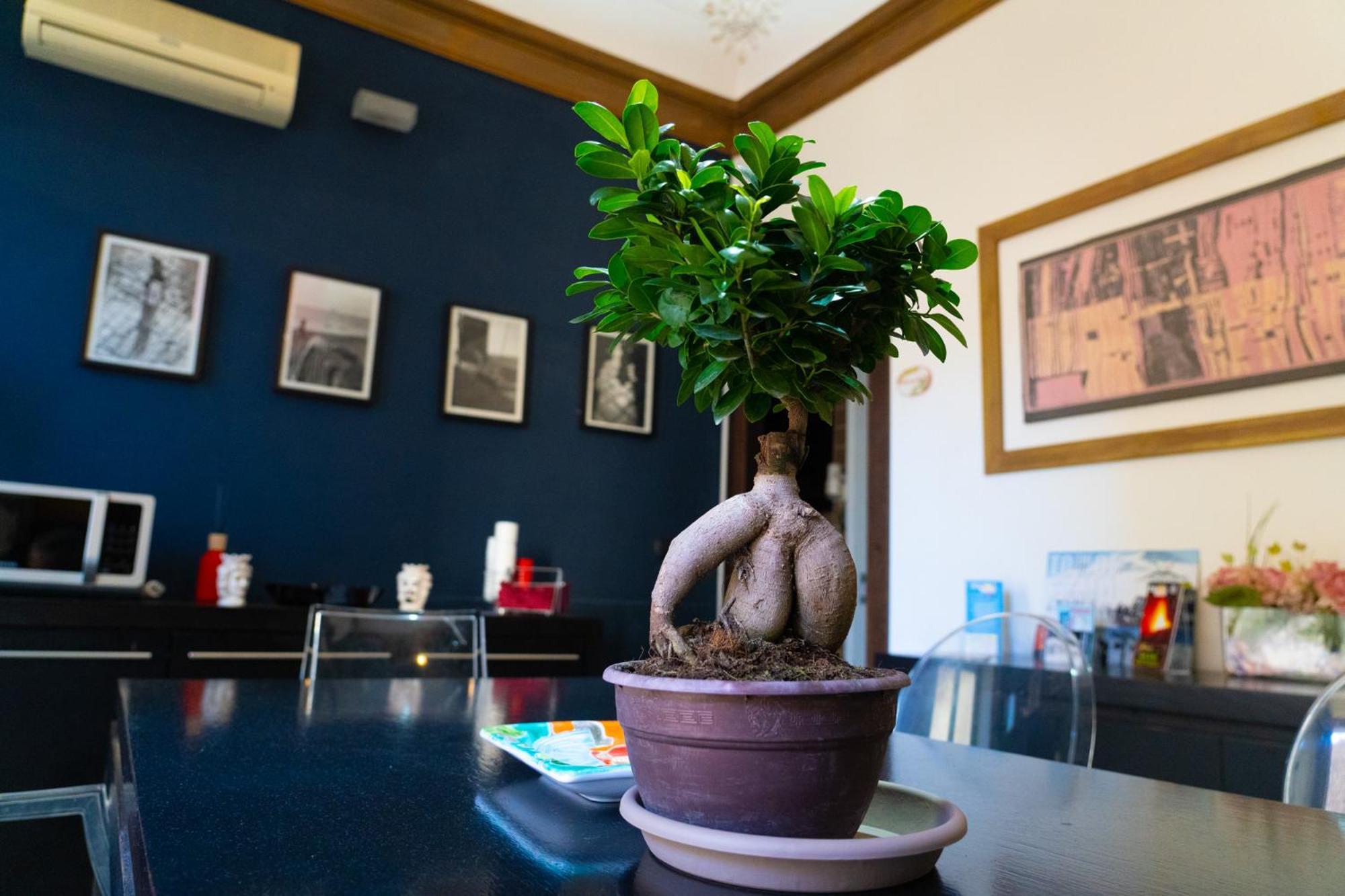 B&B Opera Catania Luaran gambar
